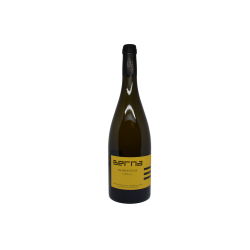 Chardonnay Göllebour